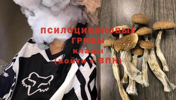 кокс Абдулино