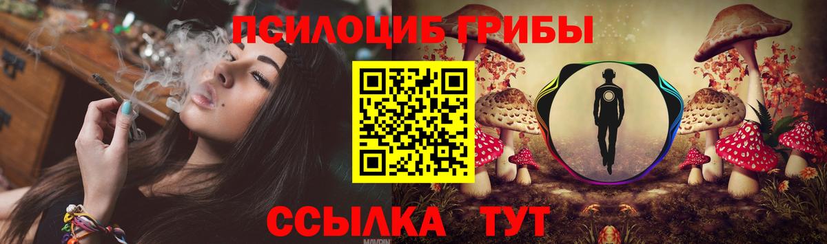 Псилоцибиновые грибы Magic Shrooms  наркошоп  Галлюциногенные грибы ЛСД  Ярославль  Вход с VPN 