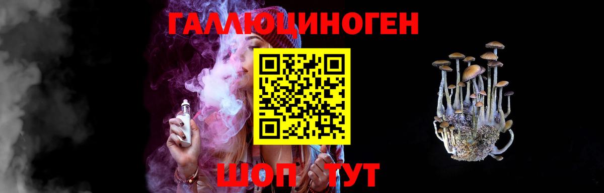 Галлюциногенные грибы Psilocybe Ярославль