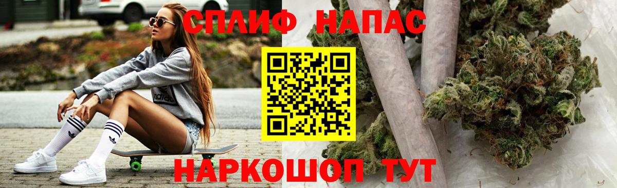 Бошки Шишки план Ярославль